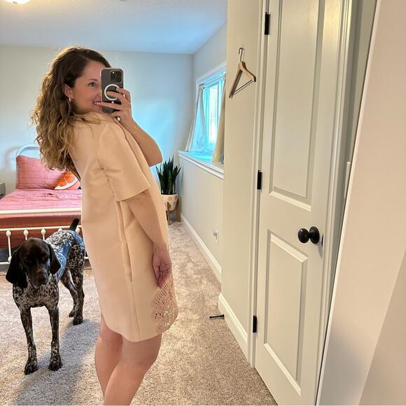 NWT Stella McCartney Pink Cotton Silk Lace Embroidered Shift Mini Dress 42 M - Picture 3 of 16